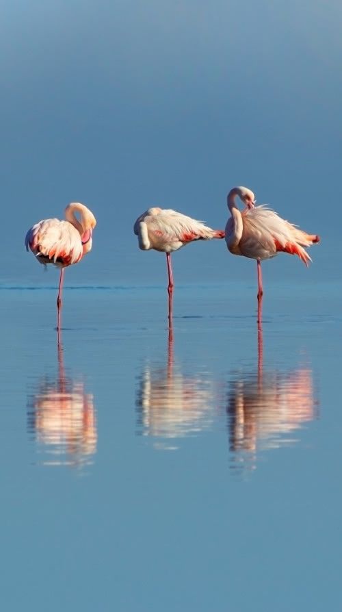 Itinerario Da Venezia Certosa alla laguna Nord