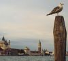 Vista San Marco dal canale della Giudecca