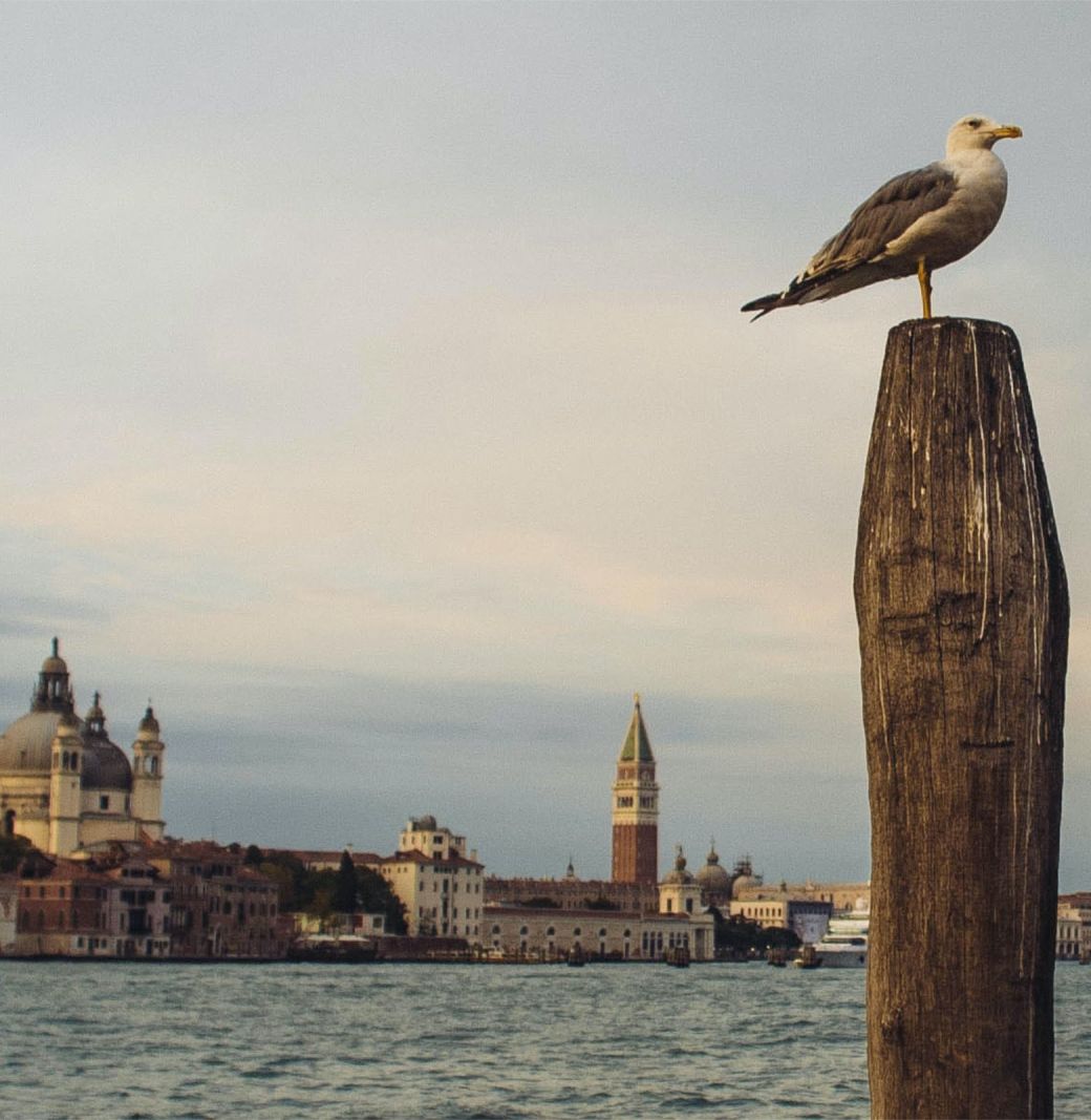 Vista San Marco dal canale della Giudecca